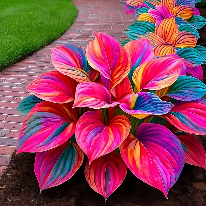 /69a01cd7fa37400009abde89/2026/04/14/product-img-69ddedf9f707c0639afa4875.png
